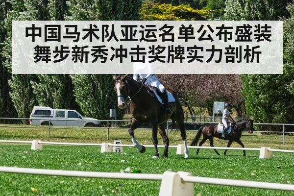 dressage horse rider competition
